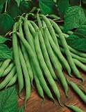 Kentucky Wonder Brown Pole Bean Seeds - Phaseolus Vulgaris - 9 Grams - Approx 25 Gardening Seeds - Vegetable Garden Seed