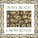 GOLD SPARKLE GLITTER CROW BEADS PONY BEADS