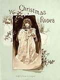 Christmas roses