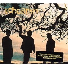 Echobrain [Vinyl LP]
