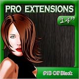 Pro Extensions 14" X 39" #1b Off Black 100% Clip on in Human Hair Extensions