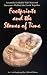 Books : Footprints and the Stones of Time