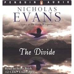 The Divide