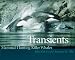 Transients: Mammal-Hunting Killer Whales of British Columbia, Washington, and Southeastern Alaska