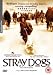Stray Dogs [DVD] [2004]
