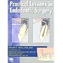 Practical Lessons in Endodontic Surgery