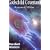 Godschild Covenant: Return of Nibiru