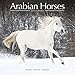 Arabian Horses Calendar - 2016 Wall calendars - Only Arabian Horses - Animal Calendar - Monthly Wall Calendar by Avonside