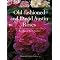 Develop a fragrant rose garden