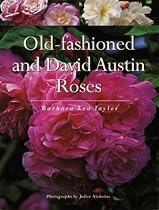 Old-Fashioned and David Austin Roses