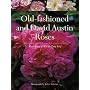 Old-Fashioned and David Austin Roses