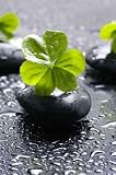 Spa Still Life with Black Stones and Leaves with Water Drops - Peel and Stick Wall Decal by Wallmonkeys
