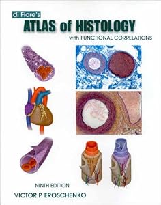 Di fiore histology