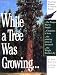 While a Tree Was Growing Image of While a Tree Was Growing
