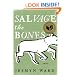 Salvage the Bones: A Novel