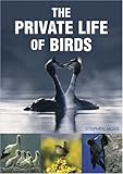 The private life of birds