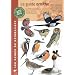 Le Guide Ornitho: les 848 esp�ces d'Europe en 4000 dessins