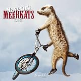 Maverick Meerkats 2011 Calendar