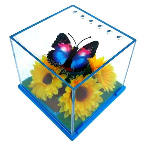 Office Playground, Inc.