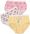 Fruit Of The Loom Girls 2-6x 3 Pack Spongebob Briefs