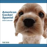 American Cocker Spaniel The Dog 2009 Wall Calendar