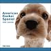 cocker spaniel - American Cocker Spaniel The Dog 2009 Wall Calendar