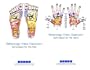 Reflexology - Techniques for the Hands & Feet 2 DVD Package
