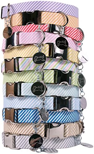 Southern Dawg Premium Dog Collar - Seersucker Pink - Medium 14 to 20 inches long x 1 inch wide - Engraveable Charm Included - Made in the USA by Yellow Dog Design