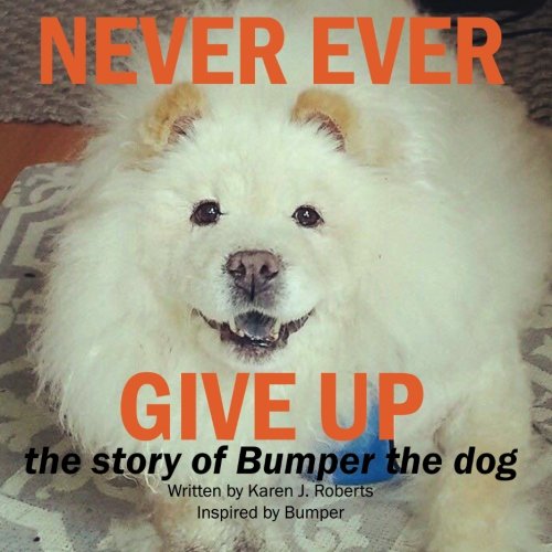 Never Ever Give Up, The story of Bumper the dog.