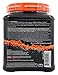 Performix ION Multi-phase Pre-workout Ice Punch 45 Servings
