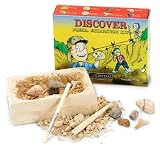 Fossil Excavation Kit