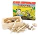Fossil Excavation Kit