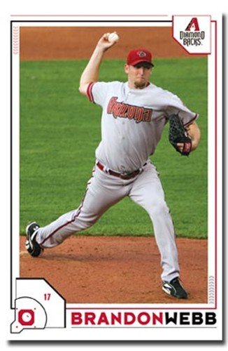 Arizona Diamondbacks - Brandon Webb Art Poster PRINT Unknown 22x34
