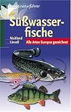Suesswasserfische: Alle Arten Europas gezeichnet