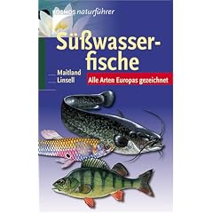 S��wasserfische: Alle Arten Europas gezeichnet