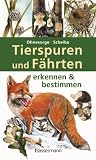 Produkt-Bild: Tierspuren und F&auml;hrten erkennen & bestimmen