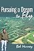 Pursuing a Dream to Fly
