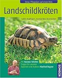 Landschildkröten: Halten & pflegen, beobachten & verstehen