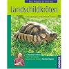 Landschildkr�ten: Halten & pflegen, beobachten & verstehen
