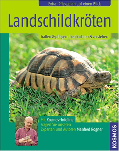 Landschildkröten: Halten & pflegen, beobachten & verstehen