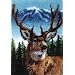 Caron Classics CC0102 20-Inch by 30-Inch Latch-Hook Kit, Deer