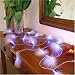 Kitchen & Housewares : Decorative 6m White Feather Lights With 40 Ultra Bright Blue Leds, Indoor Use Only