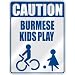 burmese8 - CAUTION BURMESE KIDS PLAY PARKING SIGN BURMA