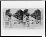 Calle de la Princesa - a beautiful promenade of San Juan, Porto Rico Reprint (14 x 12 inches)
