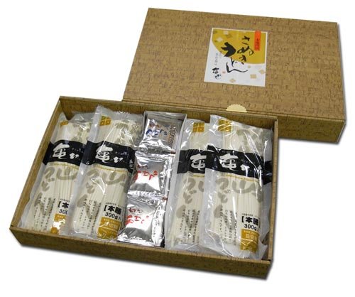 亀城庵 半生讃岐うどん並切麺 300g×8袋 ギフトセット かけ・つけつゆ半々付