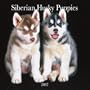 Siberian Husky Puppies 2007 Mini Calendar