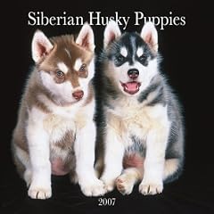 Siberian Husky Puppies 2007 Mini Calendar