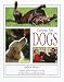 Caring for Dogs