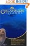 The Diving Guide: Galapagos Islands