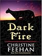 Dark Fire (The Carpathians (Dark) Series, Book 6)